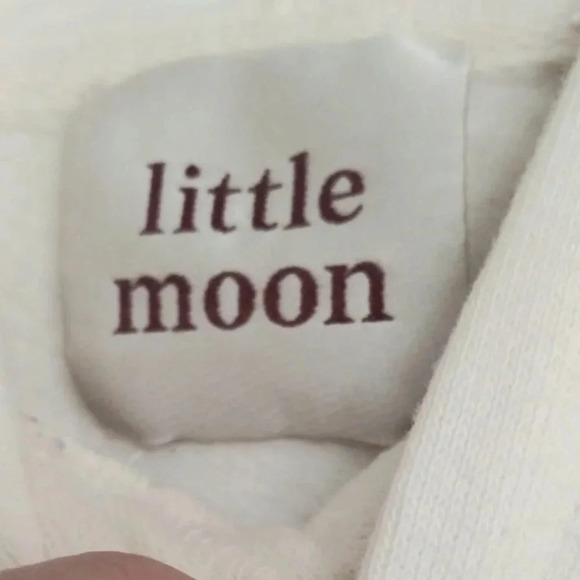 Aritzia Little Moon  Oversized embroidery hoodie size S - Picture 3 of 6